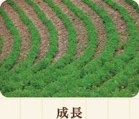 成長