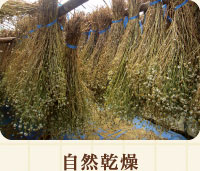 自然乾燥