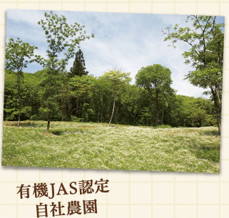 有機JAS認定自社農園