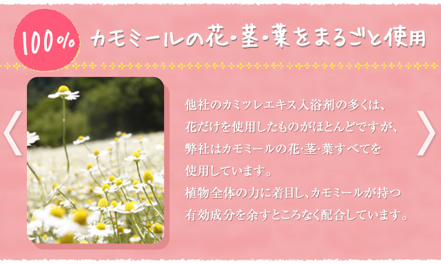 カモミールの花・茎・葉をまるごと使用