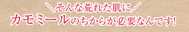 そんな荒れた肌にカモミールのちからが必要なんです！
