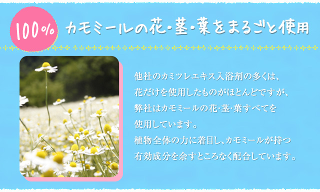 カモミールの花・茎・葉をまるごと使用