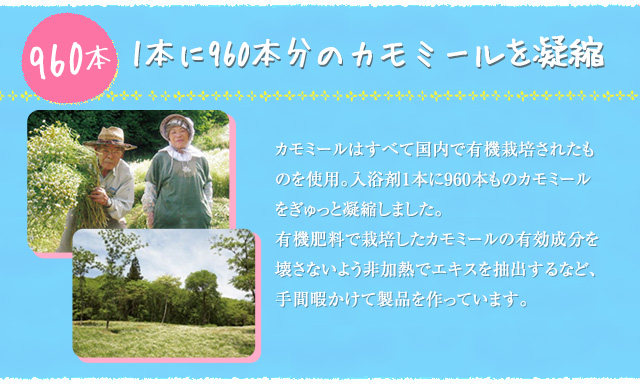 1本に960本分のカモミールを凝縮
